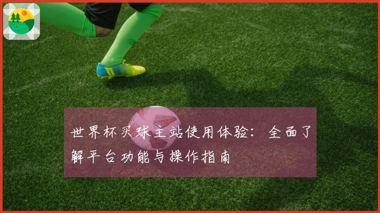 世界杯买球主站使用体验：全面了解平台功能与操作指南