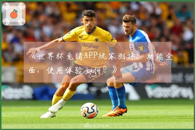 《世界杯竞猜APP玩家测评：功能全面，使用体验如何？》