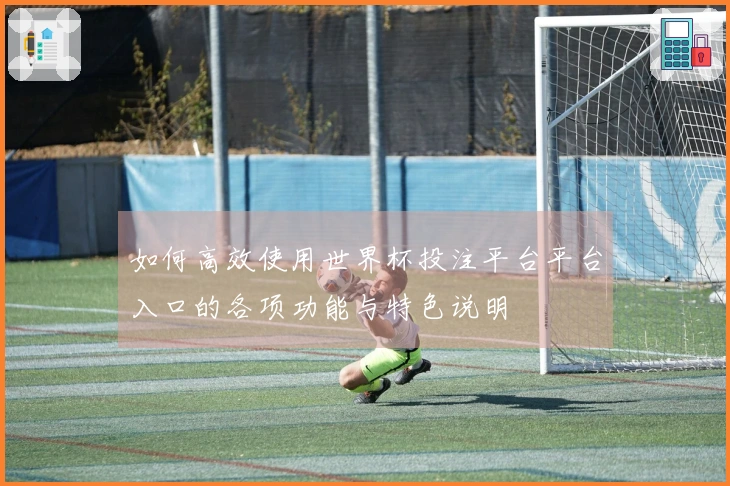 如何高效使用世界杯投注平台平台入口的各项功能与特色说明