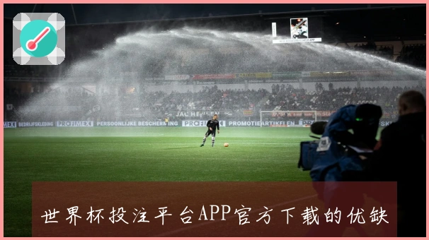 世界杯投注平台APP官方下载的优缺点分析：功能与使用体验评测