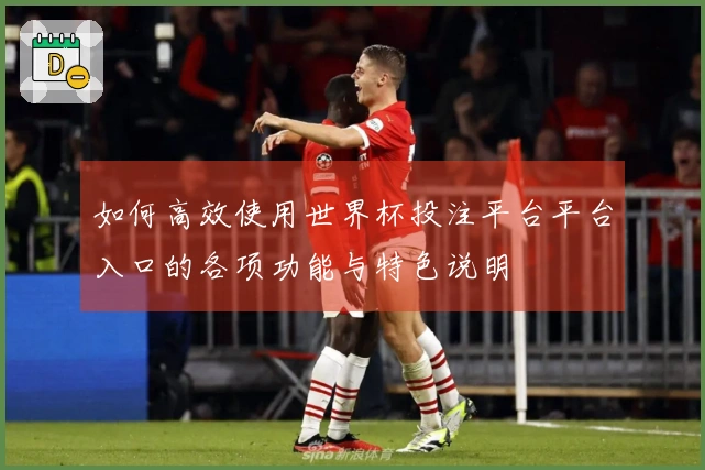 如何高效使用世界杯投注平台平台入口的各项功能与特色说明