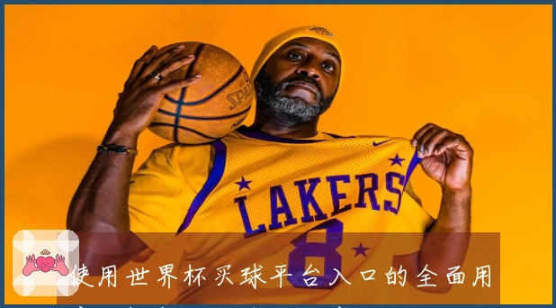 使用世界杯买球平台入口的全面用户测评与功能体验分享