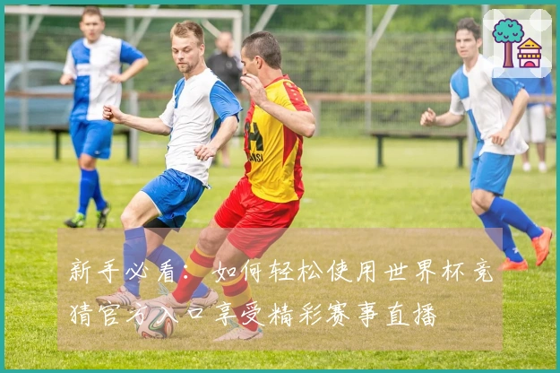 新手必看：如何轻松使用世界杯竞猜官方入口享受精彩赛事直播